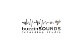 Buzzing Sound Buzzing Sound