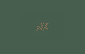 Lazerian | Manchester | Mpostcode Business Hub
